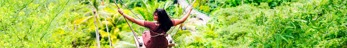 Bali Banner 2